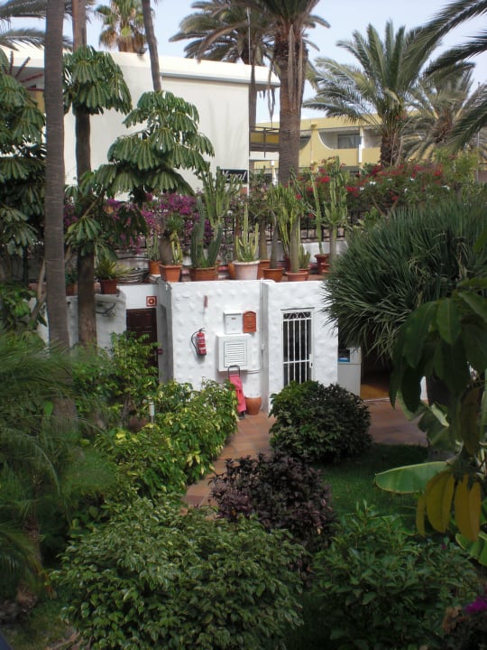 Exteriores Hotel Taboga