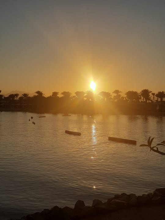 Ausblick Desert Rose