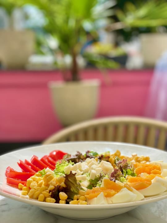 Gastro Baum's Rheinhotel