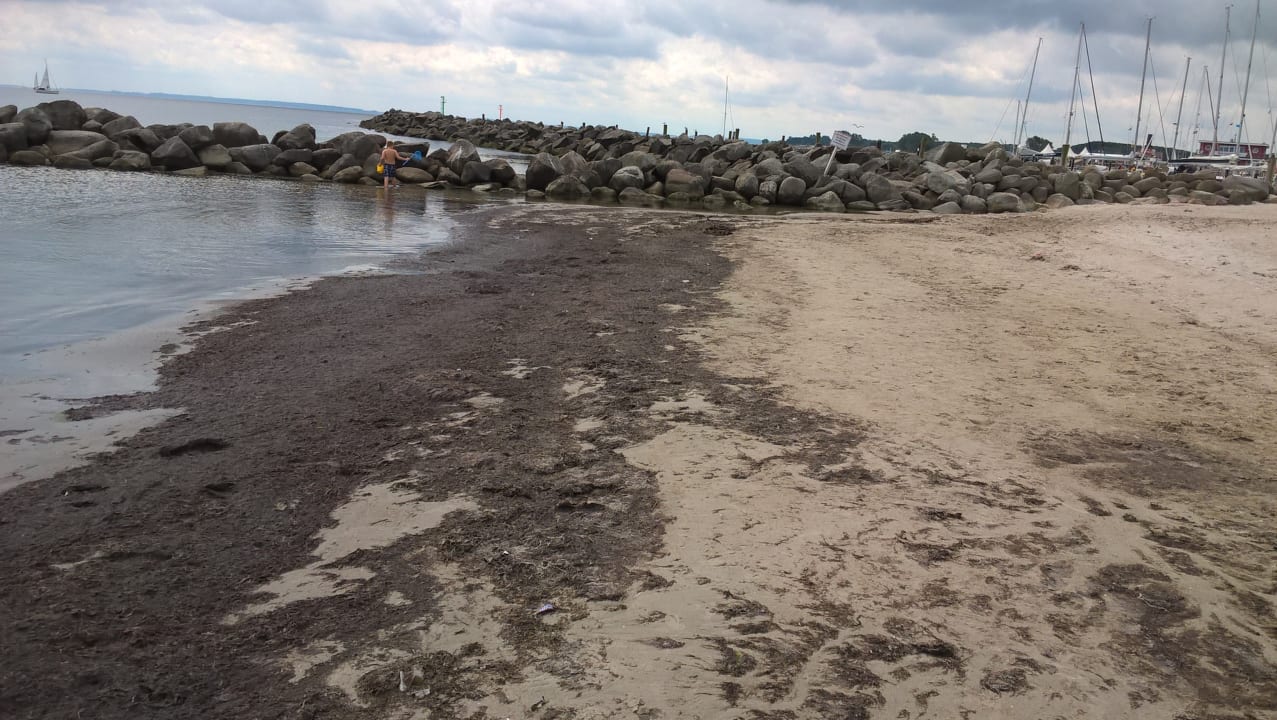Strand Ferienhauspark Asgard in Damp