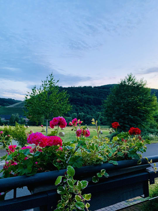 Ausblick Hotel Weingut Weis