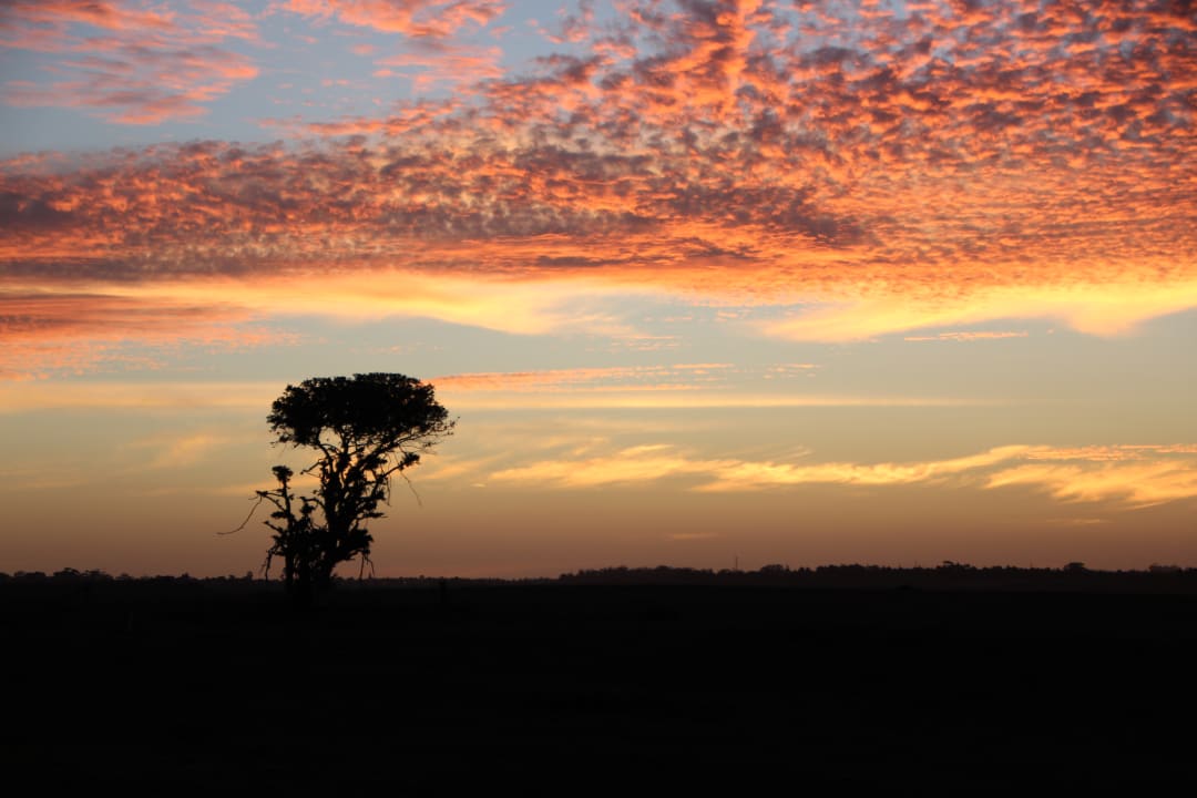 Sonstiges Hotel Garden Route Game Lodge