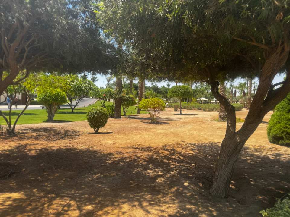 Außenansicht Steigenberger ALDAU Beach Hotel