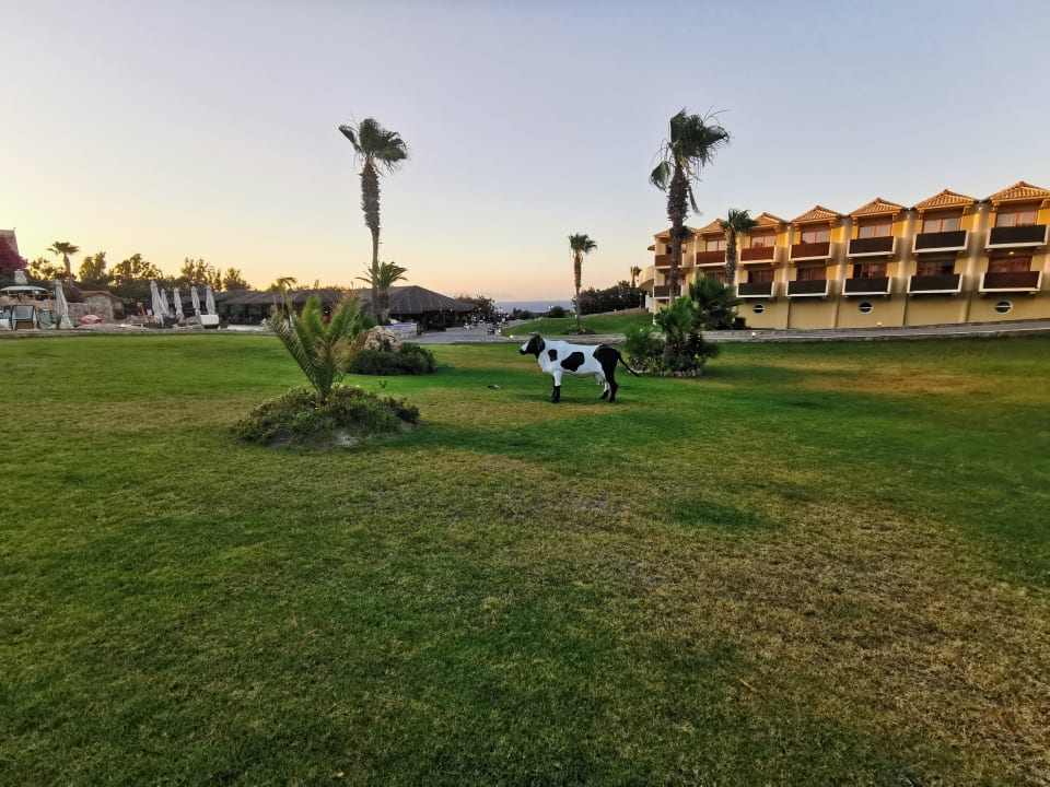 Gartenanlage Hotel Kalithea Horizon Royal