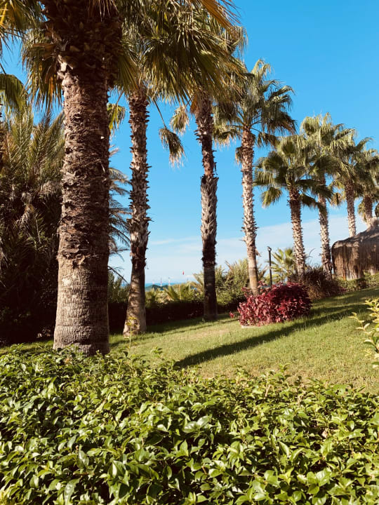 Gartenanlage Paloma Oceana
