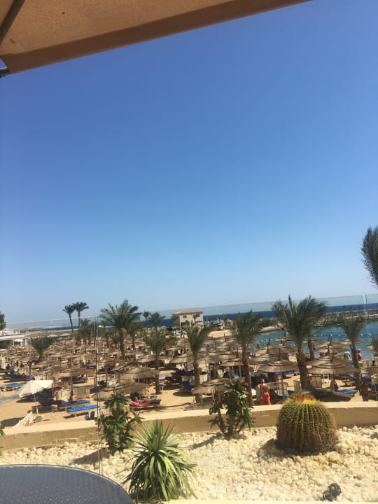 Ausblick Beach Albatros Resort