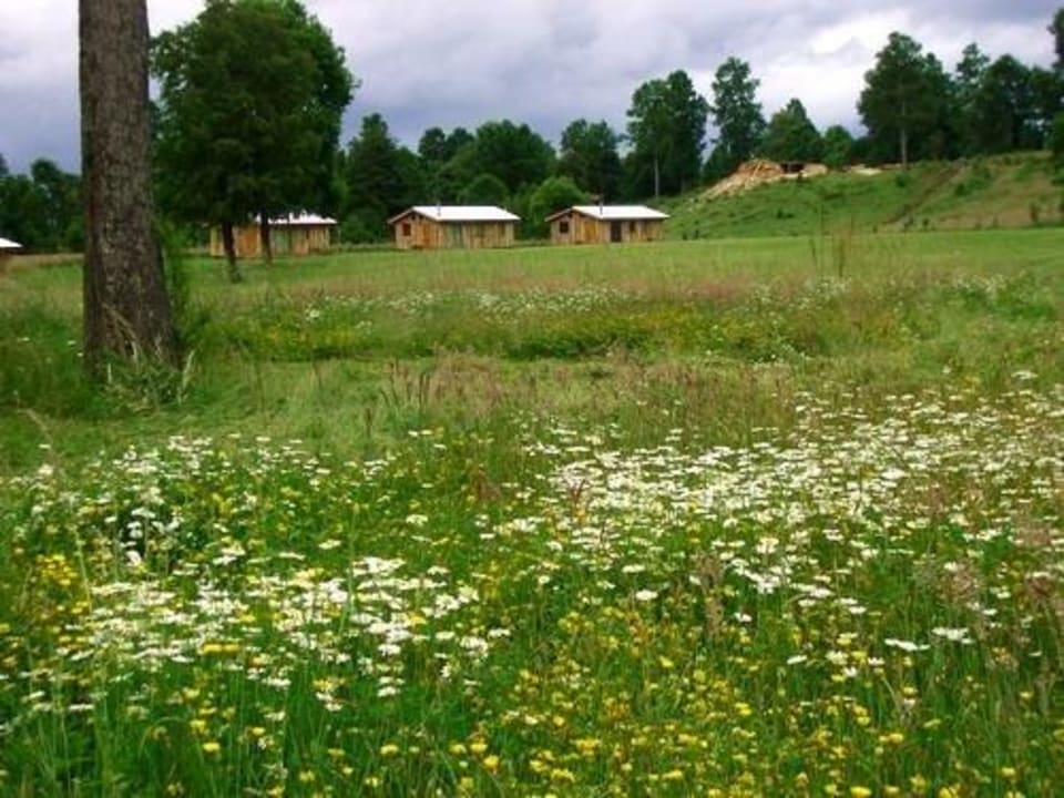 Entre Volcanes, Cabanas, Cherquenco, Vilcun, Chile Entre Volcanes