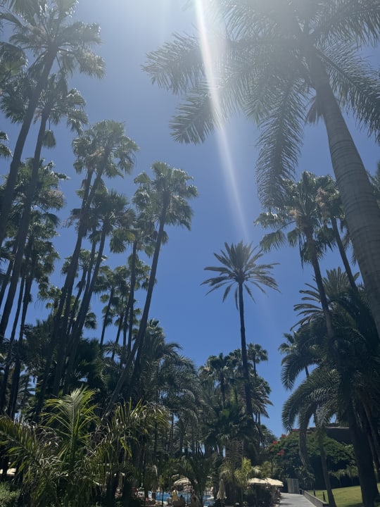 Gartenanlage Hotel Riu Palace Oasis