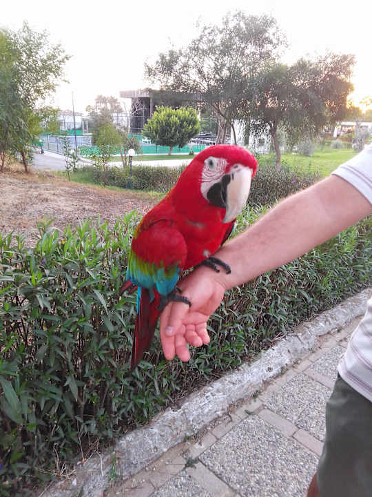 Sonstiges Hotel Süral Garden