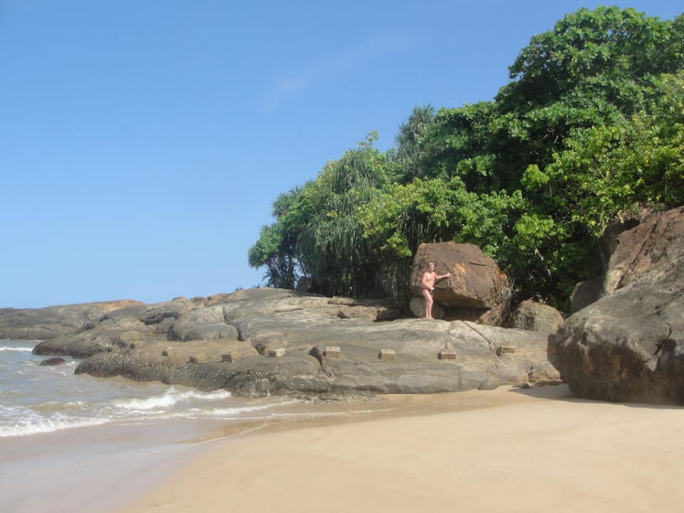 Strand Thaala Bentota