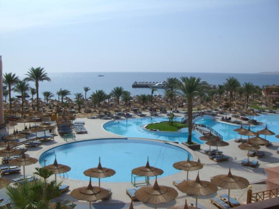Zimmer mit Meerblick Beach Albatros Resort