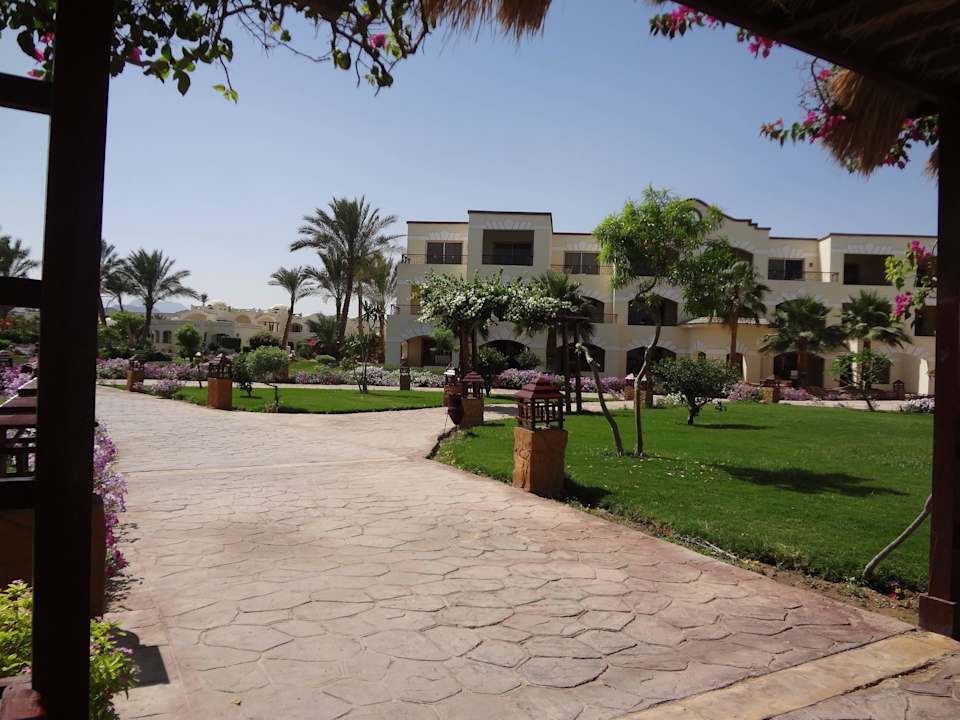 Пальмы, газон! Солнце))) Regency Plaza Aqua Park & Spa