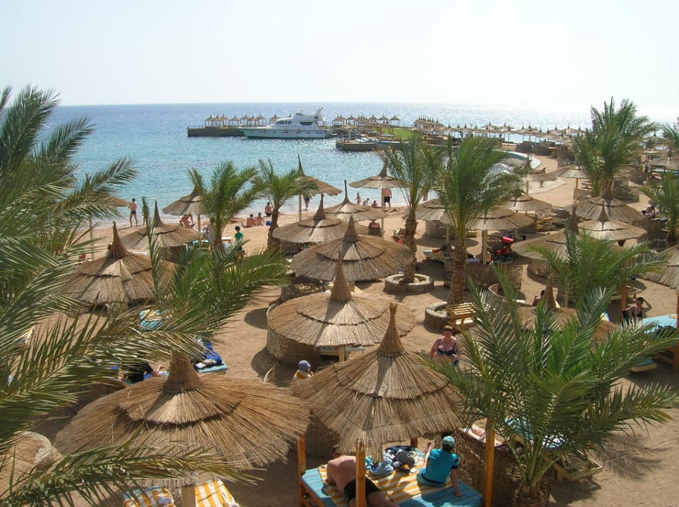 Der Hotelstrand mit Liegen Beach Albatros Resort