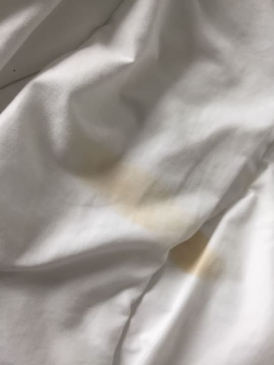 Zimmer Fletcher Hotel-Restaurant Wings-Rotterdam