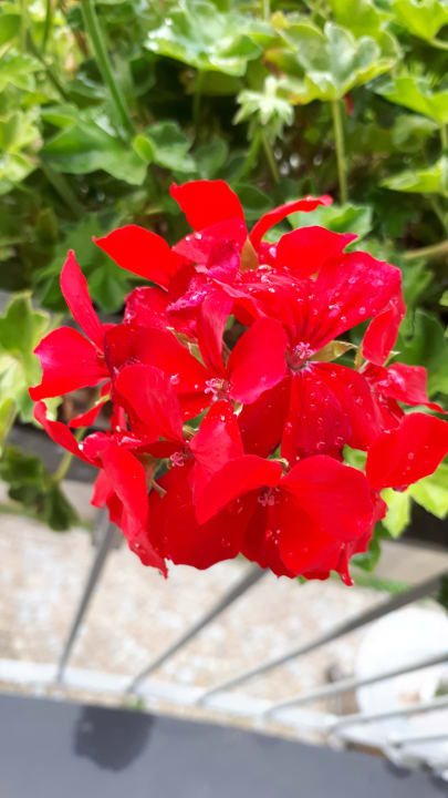 Zimmer Hotel Turmhof