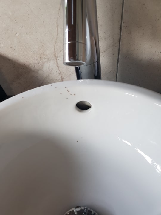 Ameisen kamen aus dem Waschbecken... Kuredu Island Resort & Spa