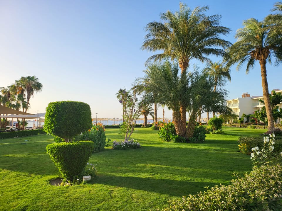 Gartenanlage Amarina Abu Soma Resort & Aquapark