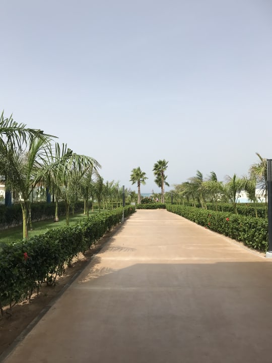 Gartenanlage Hotel Riu Palace Boavista