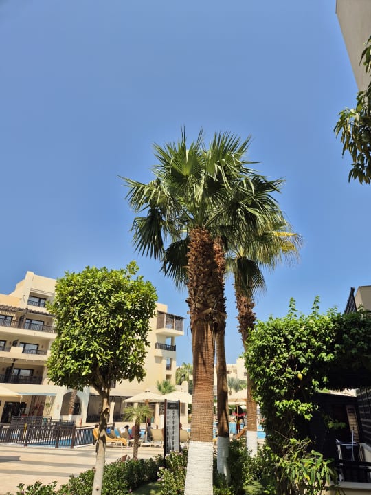 Gartenanlage Steigenberger Aqua Magic