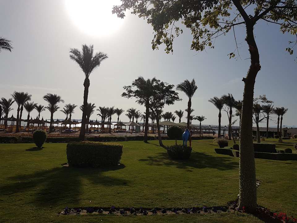 Weg zum Strand  Pickalbatros Palace Resort