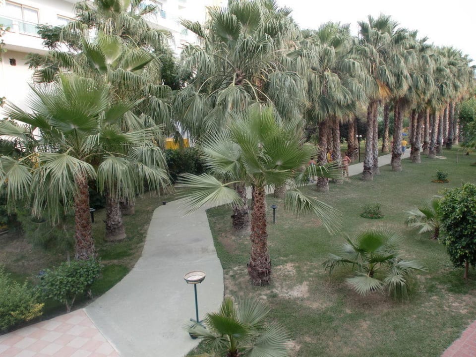 Weg zum Strand Hotel Gardenia Beach