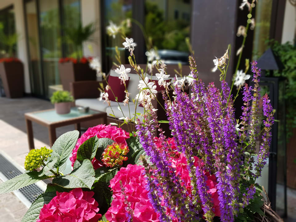 Außenansicht Hotel Gartenresidence Zea Curtis