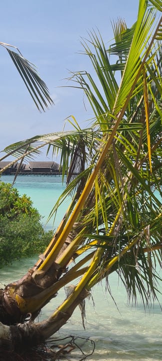 Strand Adaaran Select Hudhuran Fushi - Premium All Inclusive