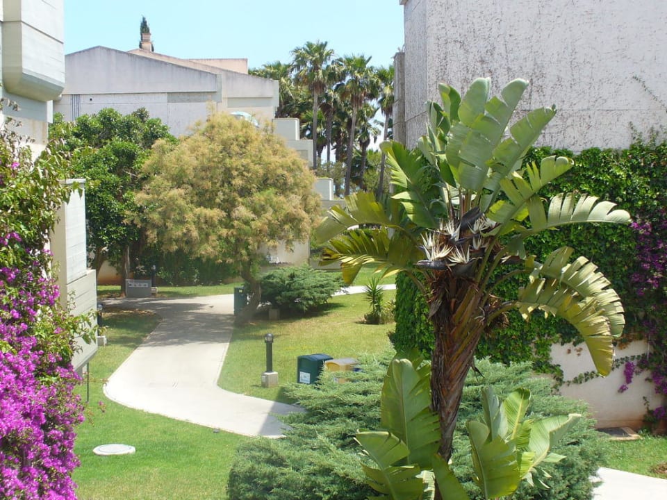 Blick von unserer Terrasse Hipotels Mediterraneo Club