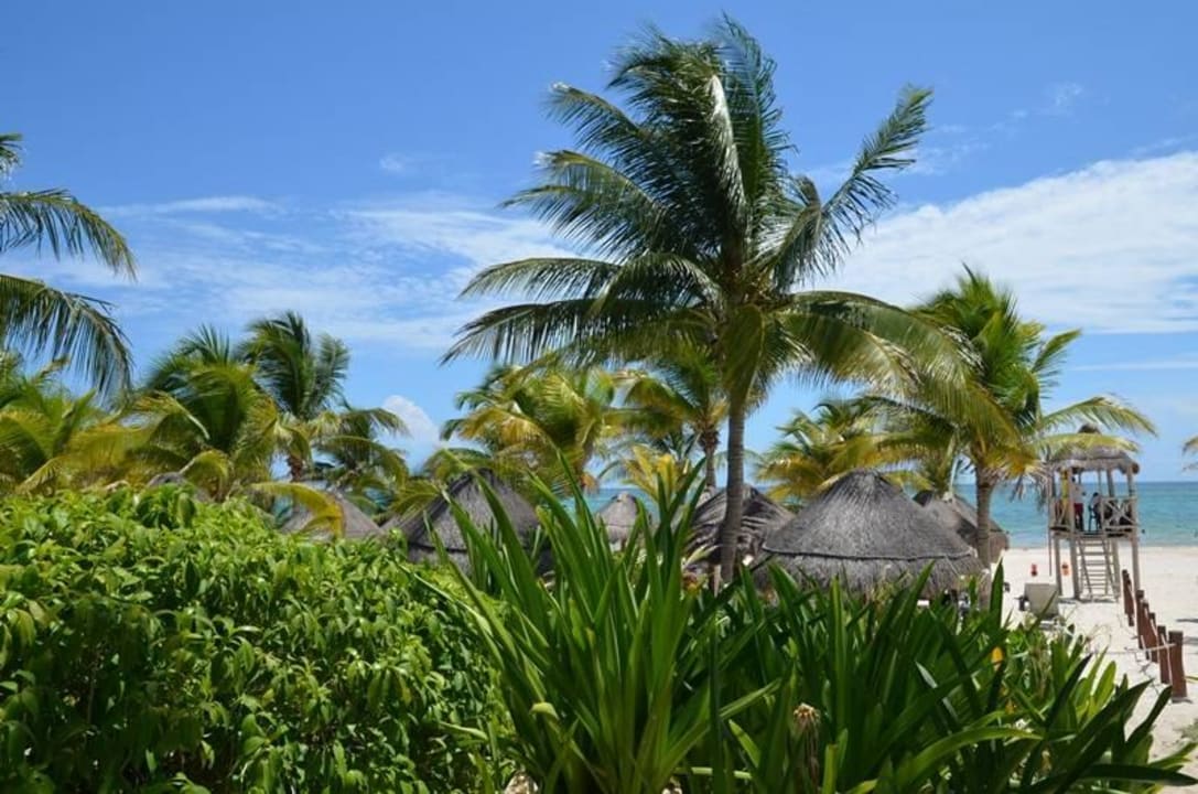 Strand Catalonia Playa Maroma