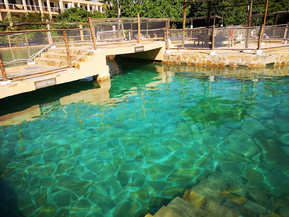 Pool Reef & Beach Resort