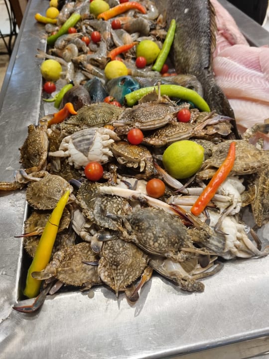 Gastro Shams Prestige Abu Soma-Adults Only