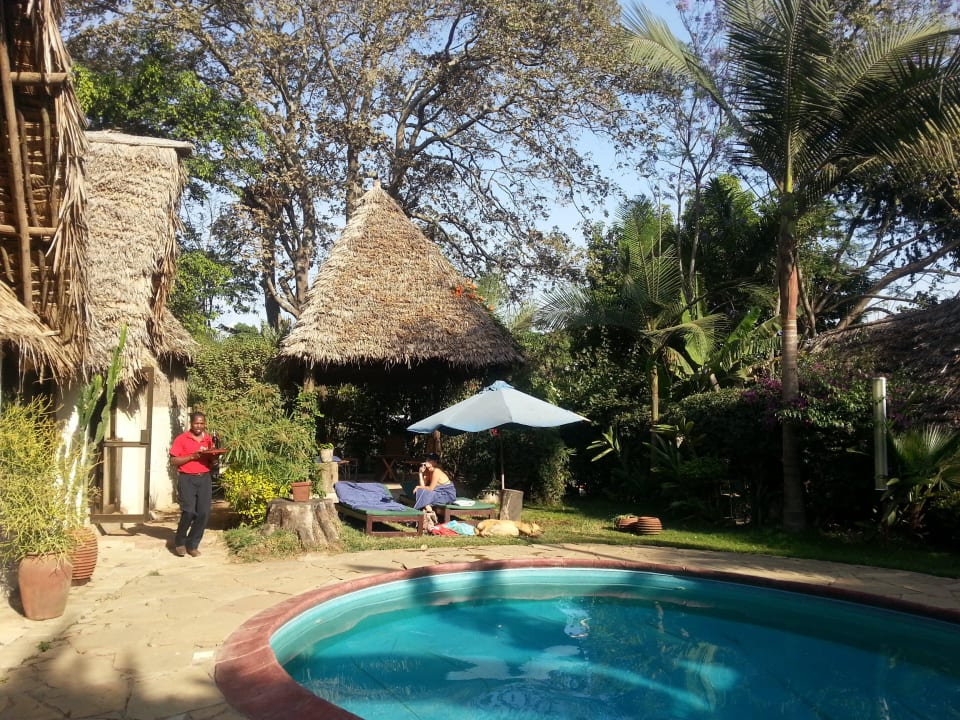 Kleiner Pool in der Hotelanlage L'Oasis Lodge