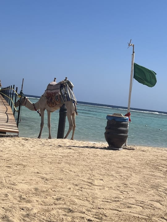 Strand MG Alexander The Great Hotel