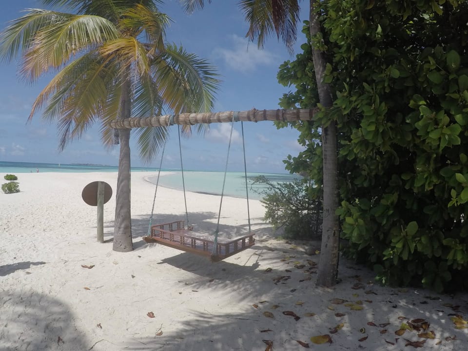 Tolle Schaukel an der Landzunge Kuredu Island Resort & Spa