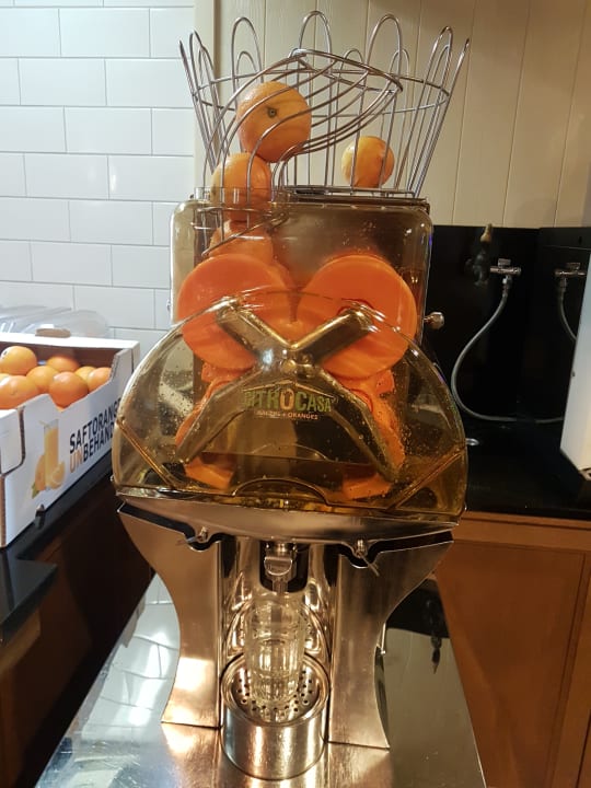 Gastro Alpengasthof Grüner