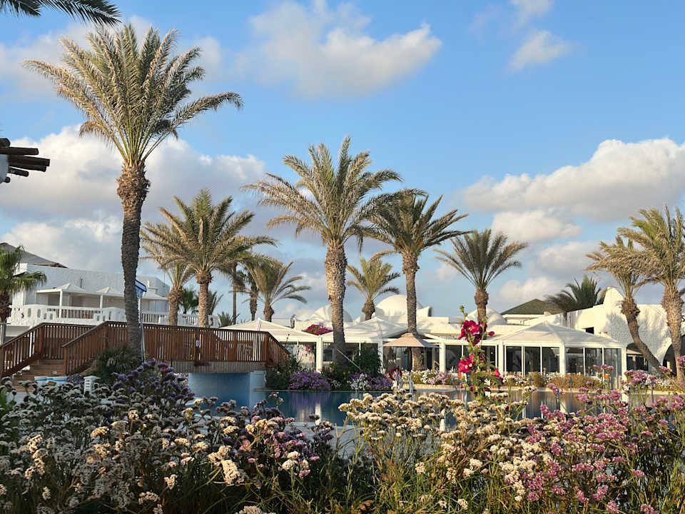 Pool ROBINSON DJERBA BAHIYA