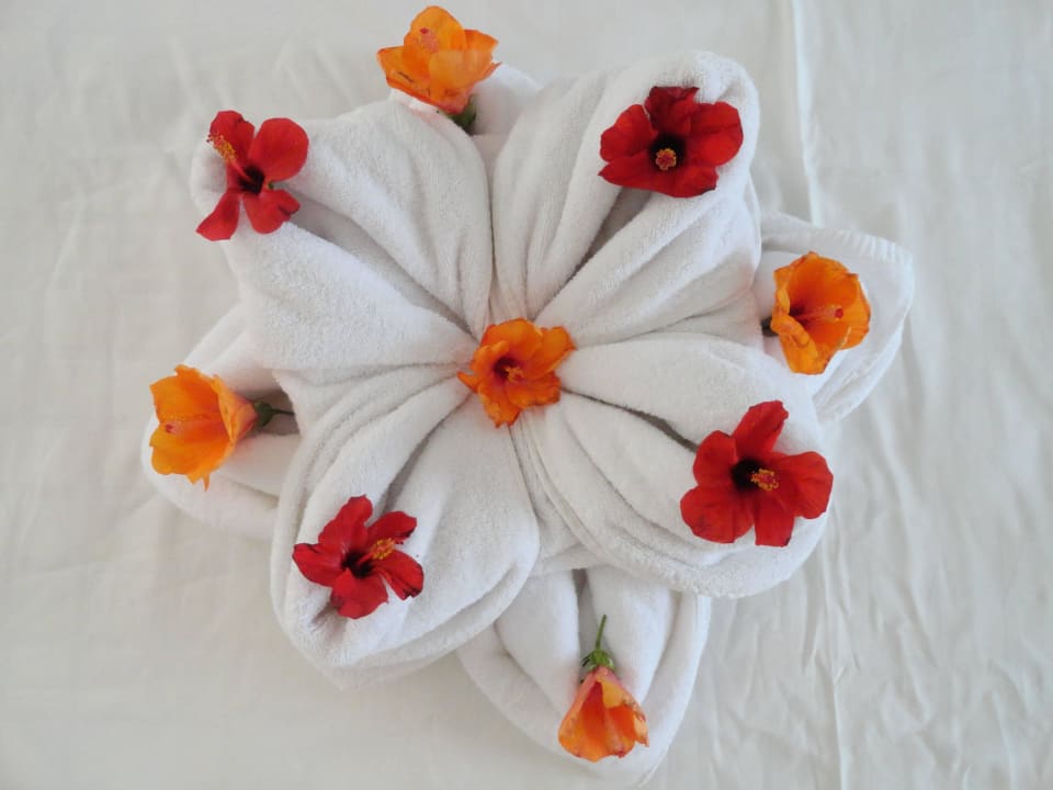 Наш уборщик Хусейн-художник Stella Garden Resort & Spa, Makadi Bay