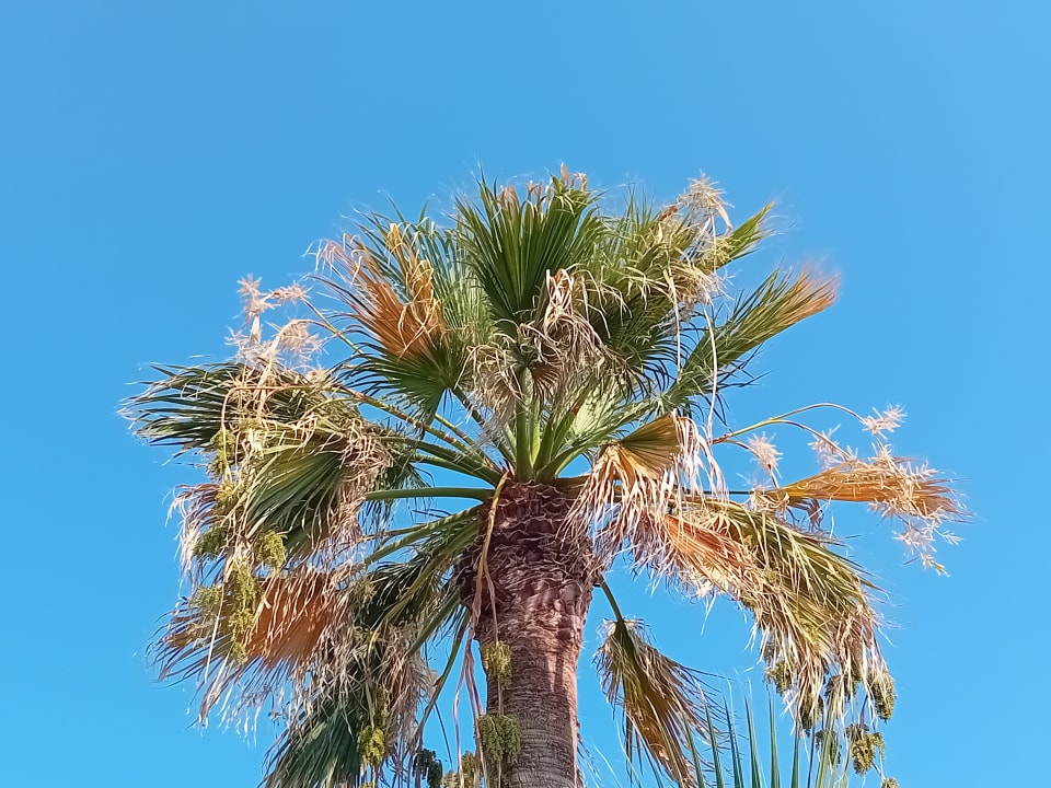 Außenansicht Civitel Creta Beach