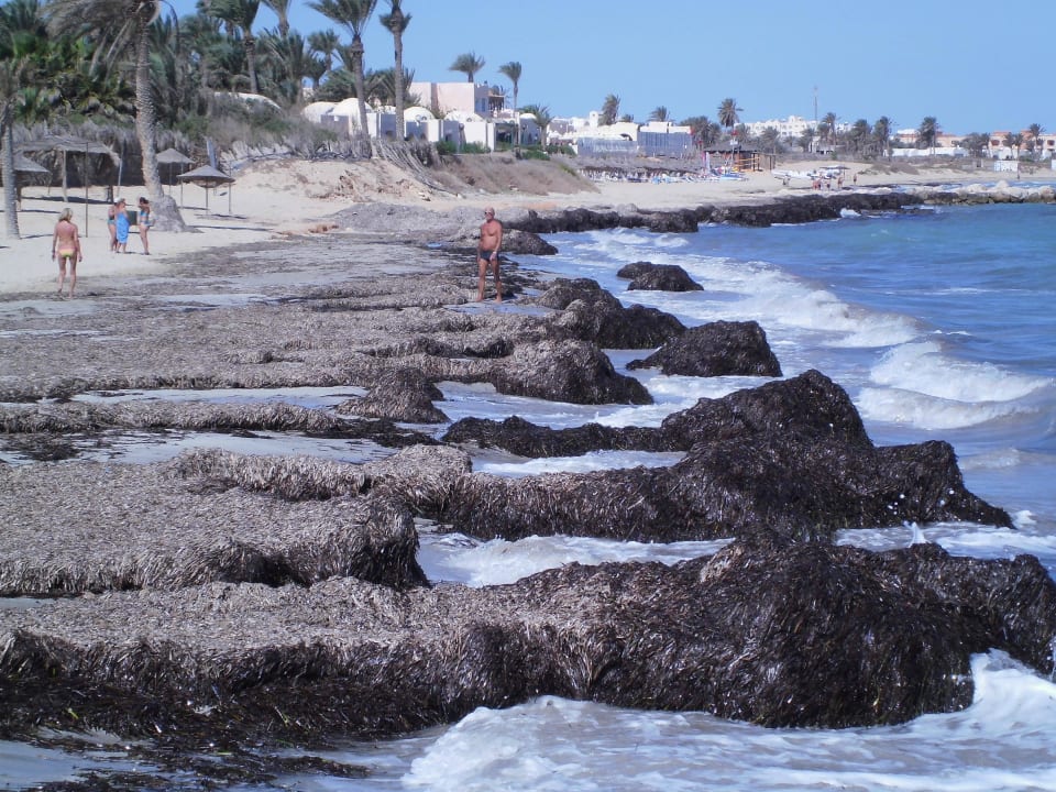 Da macht das Baden Spass... Hotel Sangho Club Zarzis