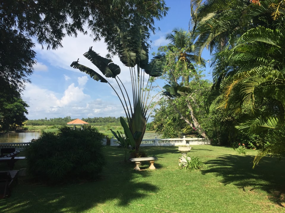 Gartenanlage Ayubowan Swiss Lanka Bungalow Resort