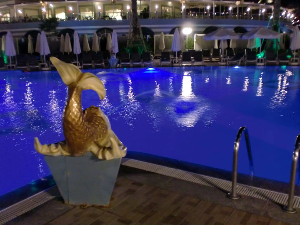 Pool Hotel Delphin Imperial