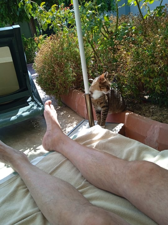 Sonstiges Hotel Gardenia Beach