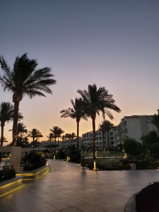 Gartenanlage Pickalbatros Dana Beach Resort - Hurghada