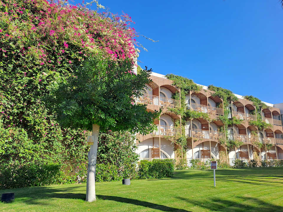 Außenansicht Desert Rose