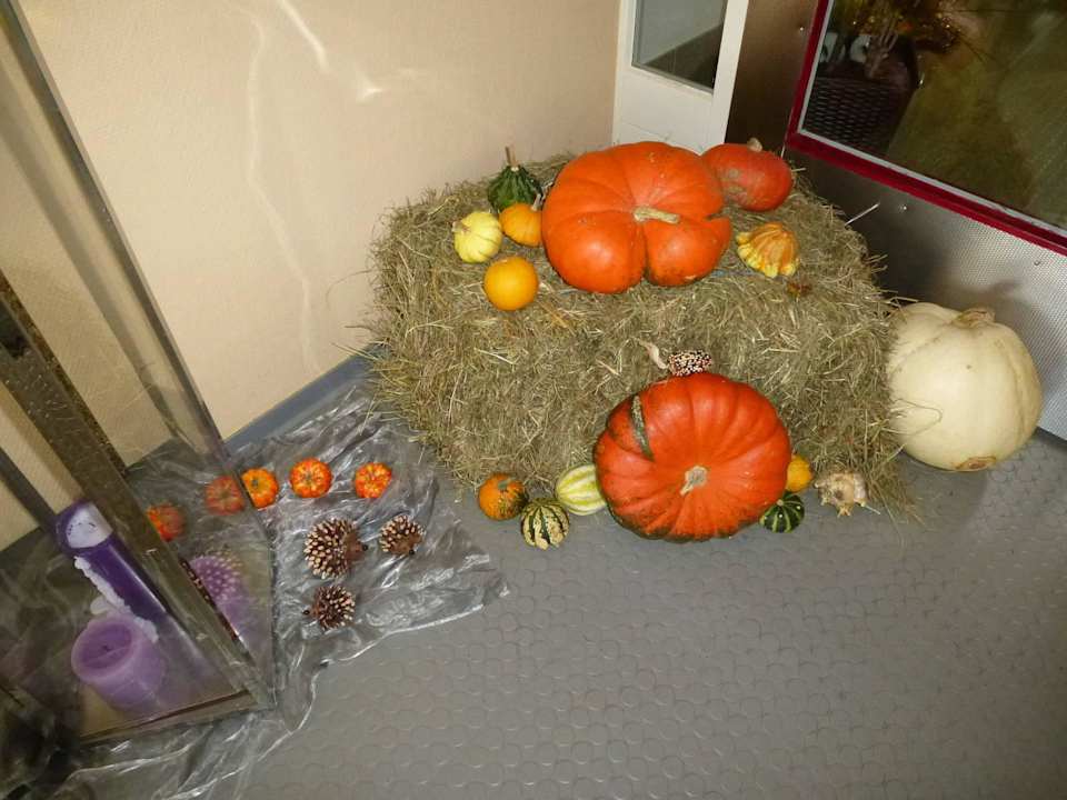 Hotel Wartburg - Herbstdeko Hotel Wartburg