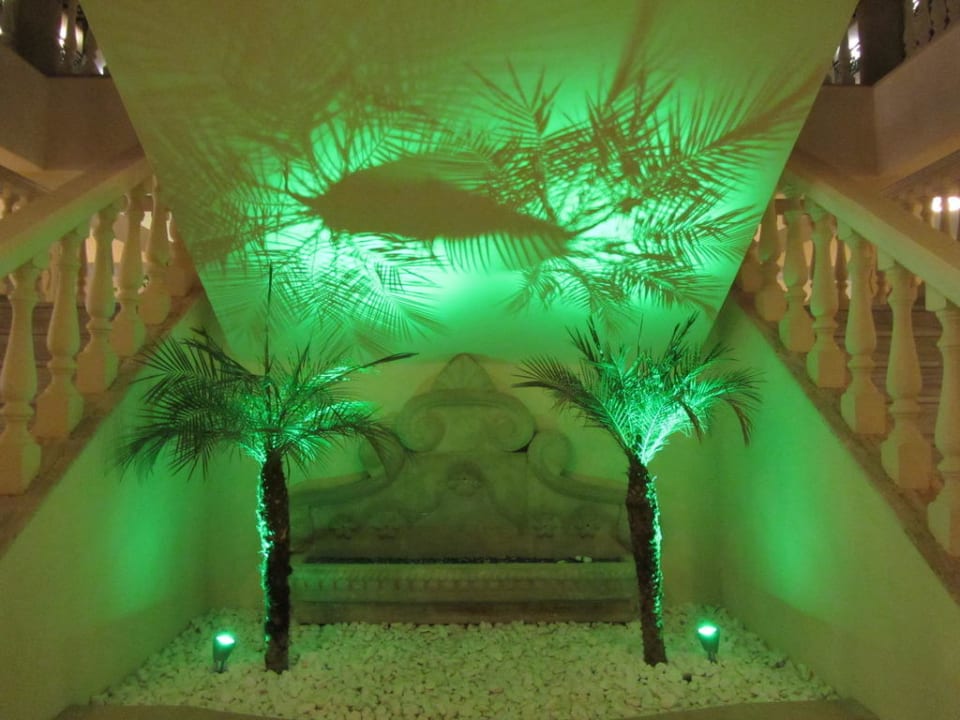 Angestrahlte Palme bei Nacht Lindos Princess Beach Resort & Spa