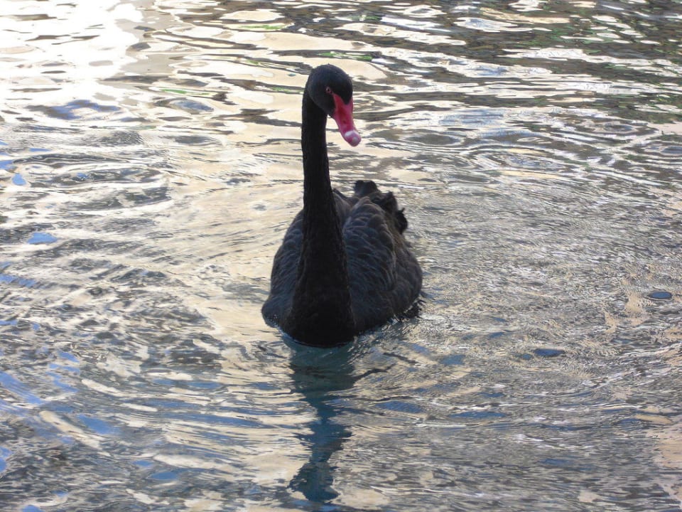 Einer von vier Dobedan Exclusive Hotel And Spa