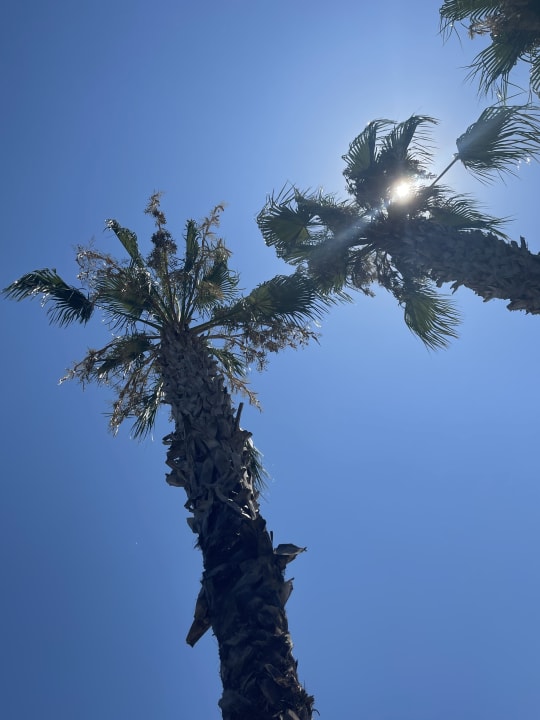 Ausblick Grand Seker Hotel