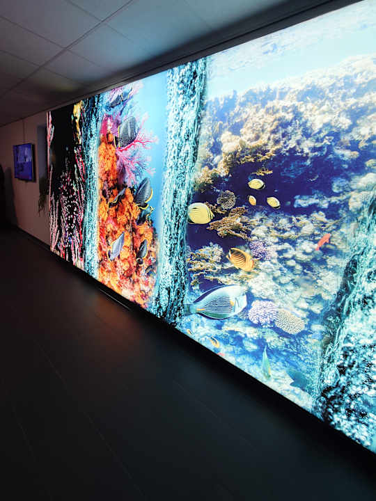 Lobby Friendly Cityhotel Oktopus