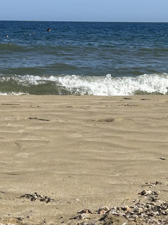 Strand Philoxenia Hotel